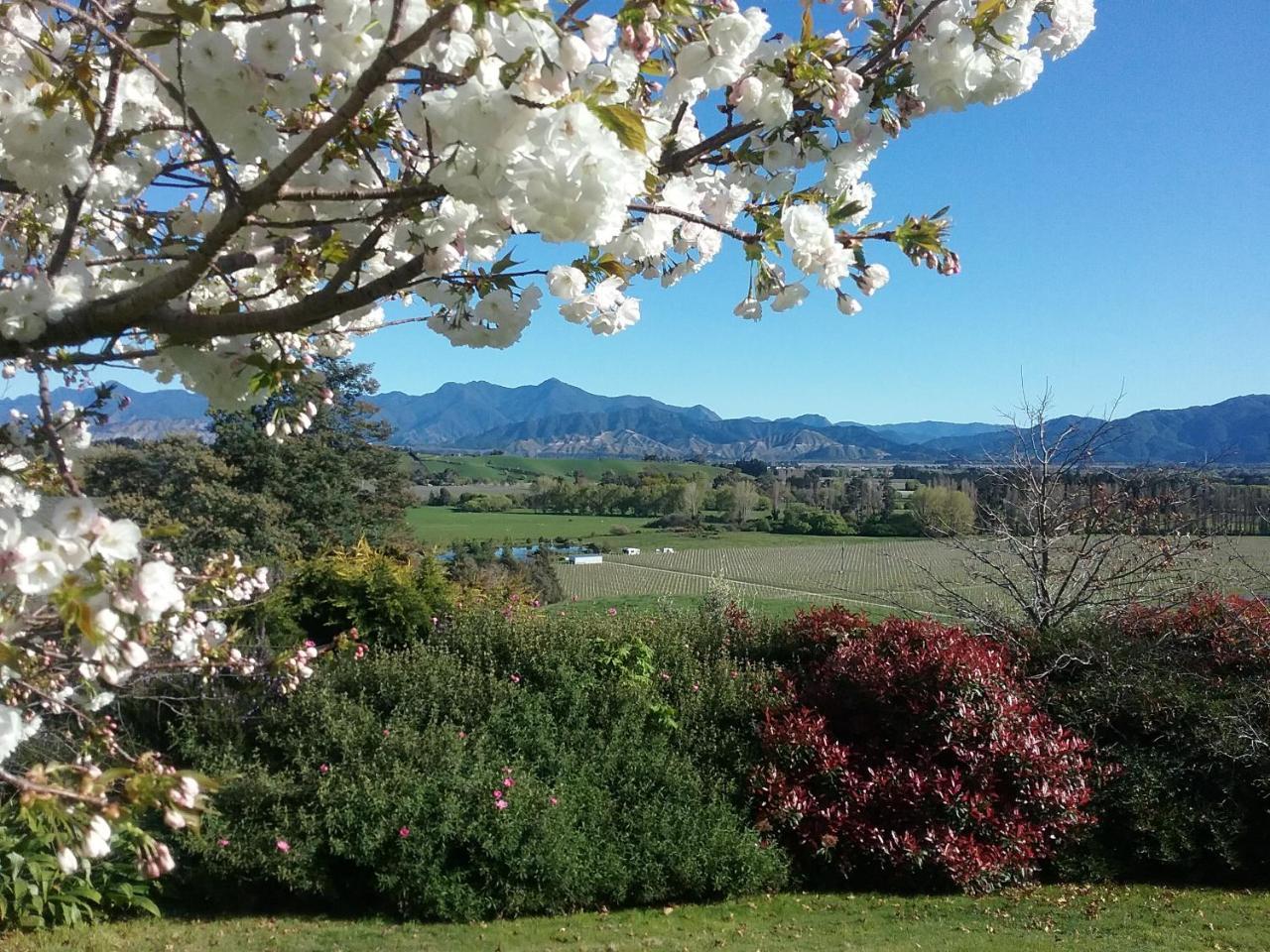 Omaka Heights Countrystay Renwick ภายนอก รูปภาพ